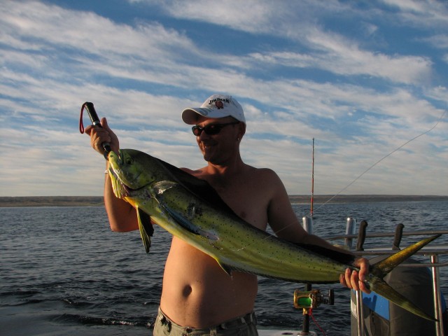 day four - Mako Dolphinfish